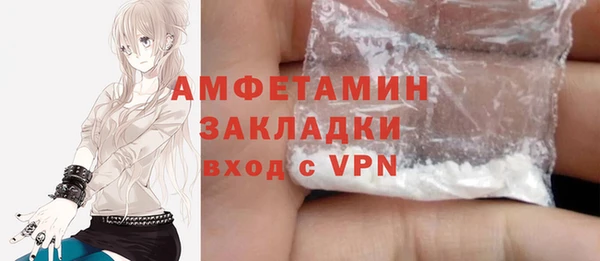 дмт Инсар