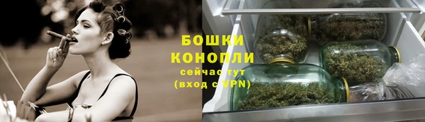 крисы Карпинск