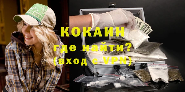 дмт Инсар