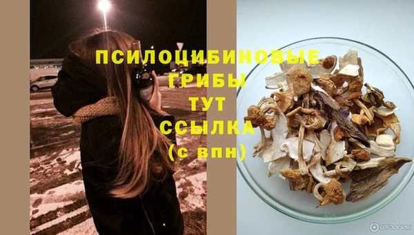 каннабис Инта