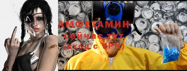 сатива Каменск-Шахтинский