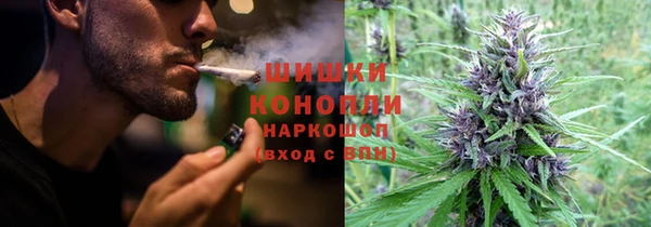 дмт Инсар