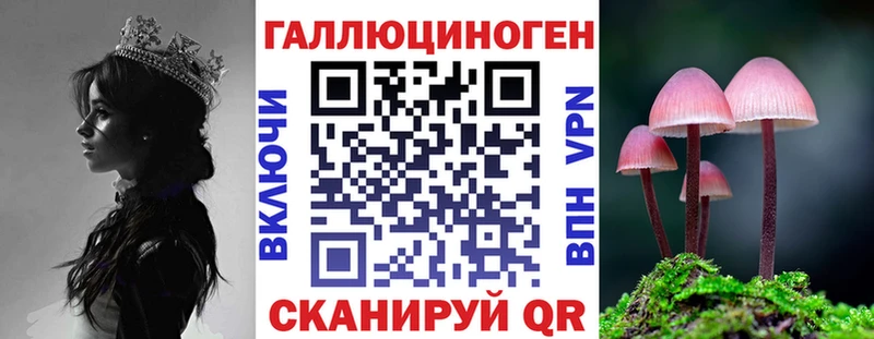 Галлюциногенные грибы Psilocybe Тогучин