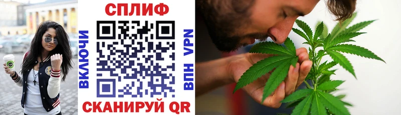 Купить закладки  Тогучин  Конопля LSD WEED 